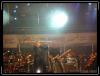 DSC00637.jpg