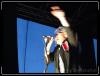 DSC03523.jpg